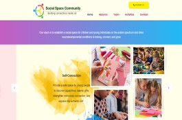 Website Design and Development in WIX